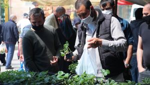 Koronavirüs nedeniyle evde kalanlar fide satışlarını ikiye katladı