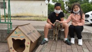 Küçük kuzenlerin sokak hayvanları için isteği karşılıksız kalmadı