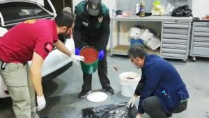 Salça kovalarından uyuşturucu hap çıktı