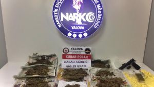 Yalova Emniyetinden Kocaeli'de eş zamanlı operasyon