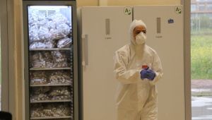 Yapılan taramalarda 28 işçinin test sonucu pozitif çıktı