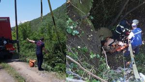 25 metrelik çukura düşen inek kurtarıldı