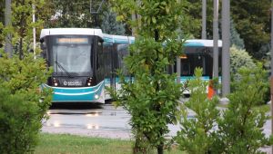 Akçaray 3 yaşında