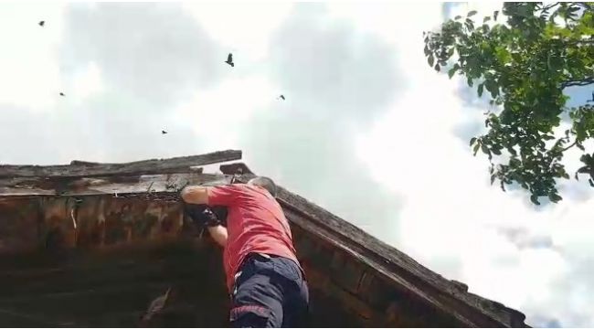 Ayağı ipe dolaşan kargayı itfaiye ekipleri kurtardı