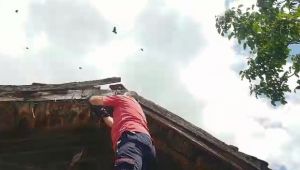 Ayağı ipe dolaşan kargayı itfaiye ekipleri kurtardı