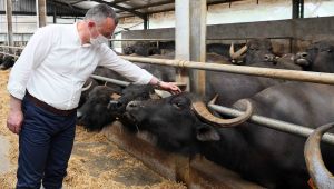 Büyükakın'ın gündemi 