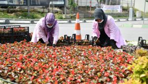 Çayırova güzelleşiyor 