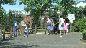 Çocuklar 3.5 ay sonra hayvanat bahçesine koştu