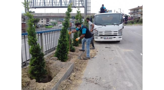 Dilovası Eynerce Kavşağı yeşillendiriliyor