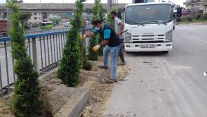 Dilovası Eynerce Kavşağı yeşillendiriliyor