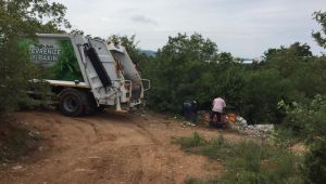 Dilovası’nda ormanlık alanlar temizlendi