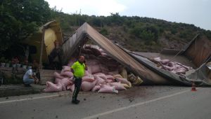 Freni boşalan tır kümesin üzerine devrildi