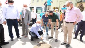 Gebze’de sinekle mücadele çalışmaları sürüyor