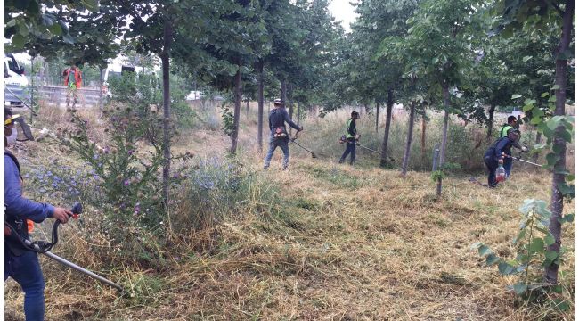Gebze’de yol kenarlarında temizlik yapıldı