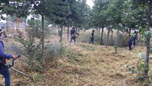 Gebze’de yol kenarlarında temizlik yapıldı