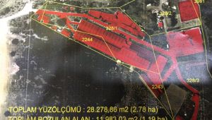 İl Tarım ve Orman Türkkan için harekete geçti