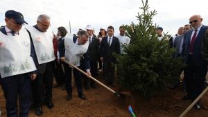 Yeşil alan miktarımız 23,5 milyon metrekare oldu