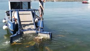 İzmit Körfezi atıklardan temizleniyor