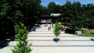 Ormanya, 6 Haziran Cumartesi günü açılıyor