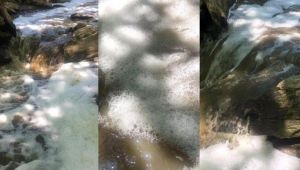 Roma ve Osmanlı'nın su kaynağı 