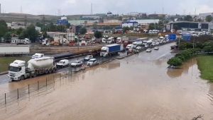 Sağanak sonrası Dilovası sular altında kaldı