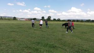 Sahibinden kaçan kurbanlığı Kartepe kurban timi yakaladı