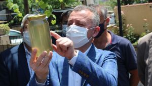 Sivrisineğe karşı gambusyalı ve ilaçlı mücadele