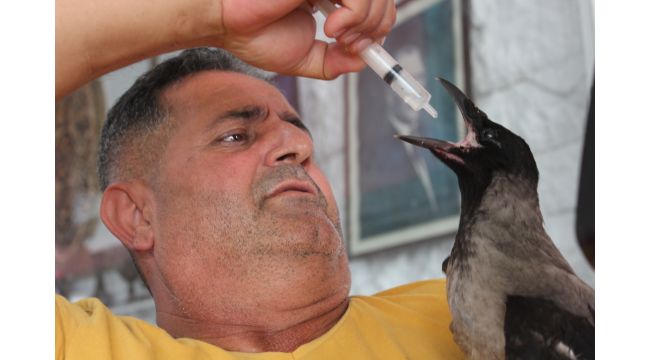 Bahtsız karganın hikayesi, Türk filmlerine taş çıkartır