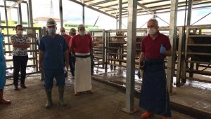 Bayramda acemi kasap olmak istemeyenler bu kursta eğitim alıyor
