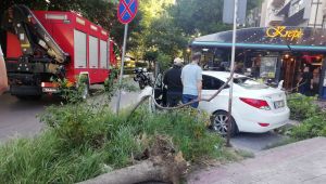 Devrilen ağaç otomobilin arka camını patlattı