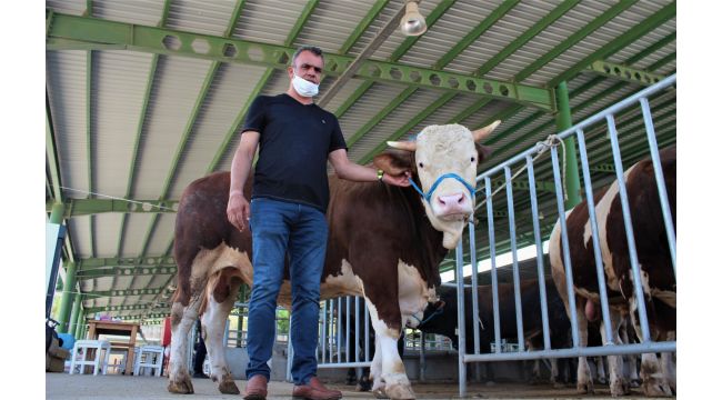 Kocaeli’de kurban satıcıları memnun