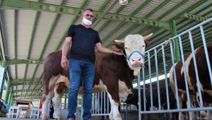 Kocaeli’de kurban satıcıları memnun