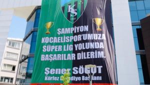 Körfez yeşil-siyaha büründü