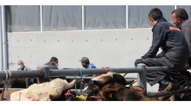 Kurban bayramı ve okullar için dikkat çeken öneri