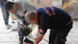 Yaramaz kediler öyle bir yere girdi ki çıkarmak için zamanla yarıştılar