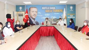 AK Parti’den Dilipak'a suç duyurusu
