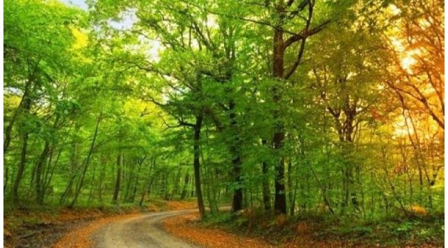 Bir ilçede daha yasak kararı alındı… Bu bölgelere girmek yasaklandı!