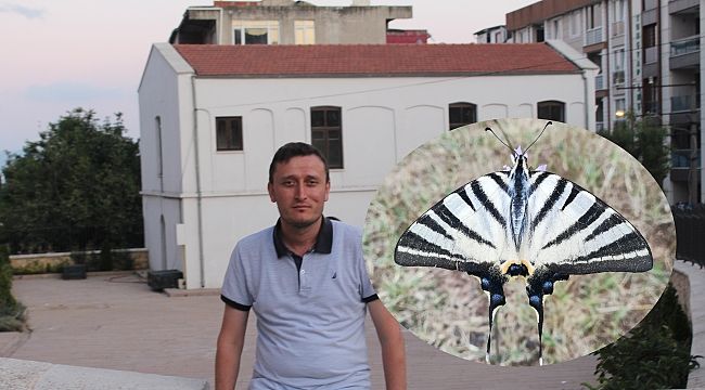 Çatalkuyruklu kelebeği Gebze'de görüntülendi