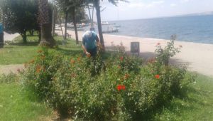 Değirmendere sahilindeki parklar sürekli bakımdan geçiyor