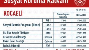 Devlet Kocaeli’de ne kadar para dağıttı?