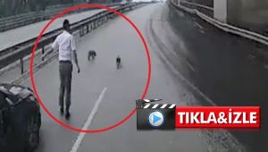 Otobüs şoförü yavru köpekleri böyle kurtardı