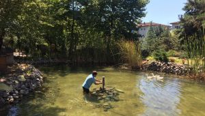 İzmit parkları bakımdan geçiyor