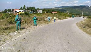 İzmit’te yabani ot temizliğine ara verilmiyor