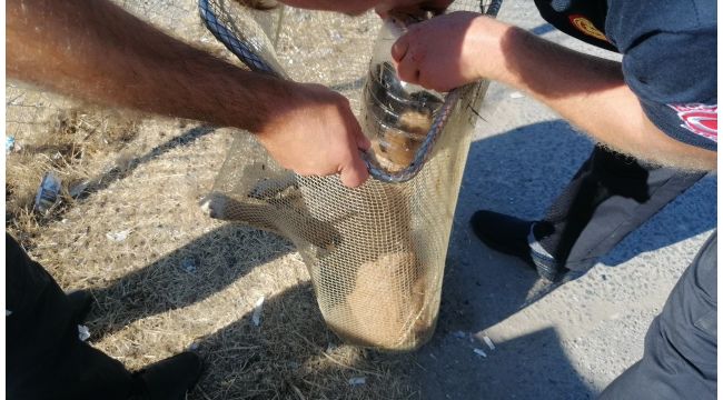 Kafası turşu bidonuna sıkışan köpek vatandaşları seferber etti