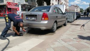 Kediden kaçan yılan ortalığı birbirine kattı
