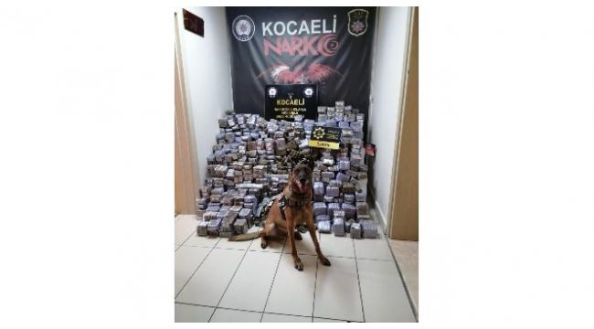 Kocaeli’de 330 kilogram esrar ele geçirildi