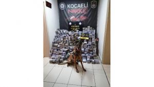 Kocaeli’de 330 kilogram esrar ele geçirildi