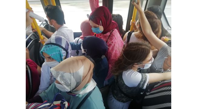 Kocaeli’de balık istifi yolculuk