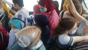 Kocaeli’de balık istifi yolculuk