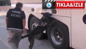 Kocaeli'de yolcu otobüsünden 30 kilo eroin çıktı